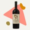 O Vinho Tinto Chileno Carae Carignan 2017