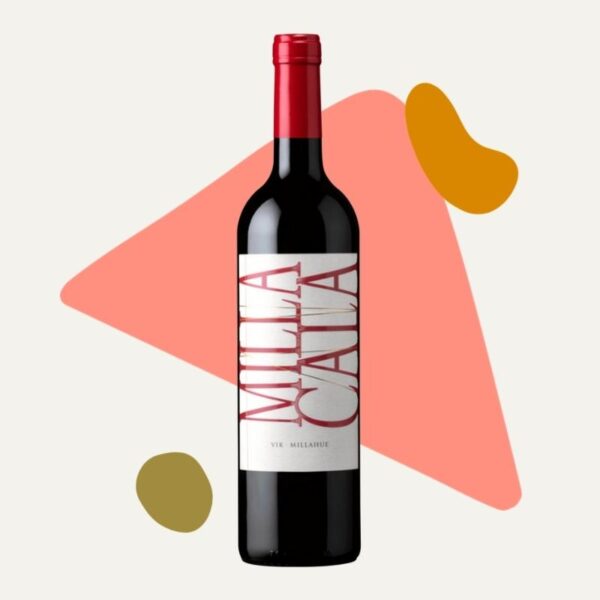 O Vinho Tinto Chileno VIK Milla Cala 2018